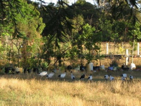 Armadale Farmstay Bed & Breakfast - Local Tourism 5