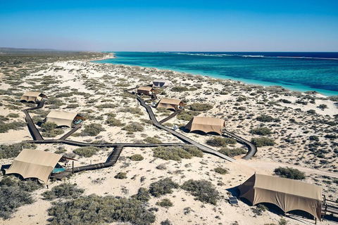 Sal Salis - Accommodation Australia 1
