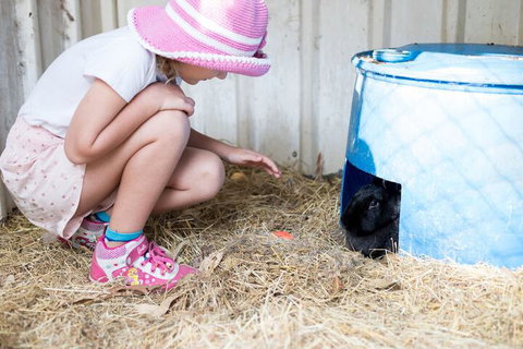 Misty Valley Country Cottages - Accommodation Australia 7