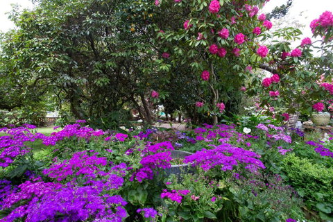 Anabels Of Scottsdale - Australia Shopping 2