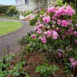 Anabels Of Scottsdale - Australia Shopping 0