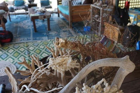 Bremer Island Banubanu Beach Retreat - Local Tourism 5
