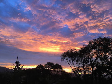 Bed & Breakfast At Kiama - Bed n Breakfasts 3