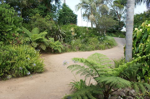 Bed & Breakfast At Kiama - Bed n Breakfasts 1
