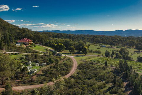 The Mudgee Homestead Guesthouse - Accommodation Australia 3