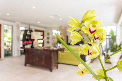 Alaya Verde - Australia Shopping 1