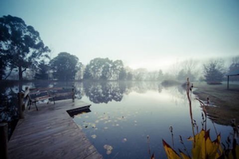 Sanctuary Park Cottages - Accommodation Australia 0