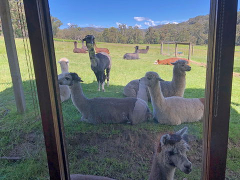 Valley Farm Vineyard Cottages - Accommodation Australia 2
