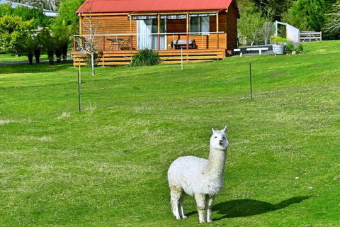 Maydena Mountain Cabins - Local Tourism 2