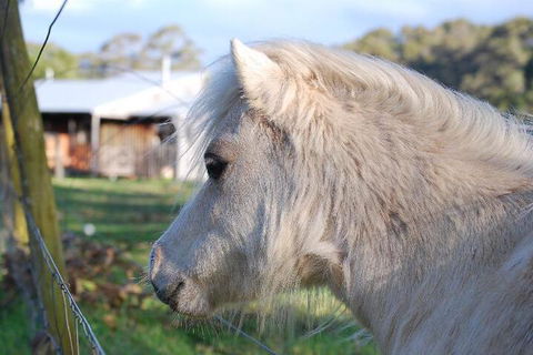 Billa Billa Farm Cottages - Accommodation Australia 3
