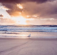 Blue Waters Motel - Local Tourism