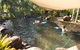 Eco Village Mission Beach - thumb 2