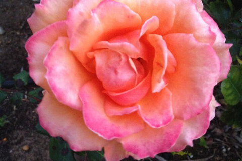 Augusta Escape Holiday Units - Accommodation Australia 1