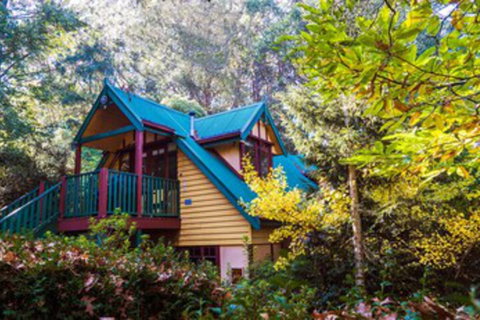 Arnica Views - Accommodation Australia 0