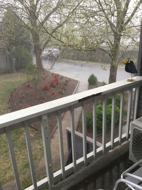 Alloggio Bathurst Apartments - Australia Shopping 6