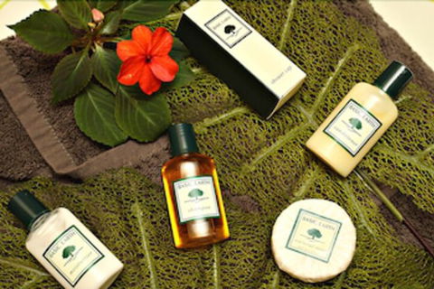 Mapleton Cabins & Caravan Park - Local Tourism 7