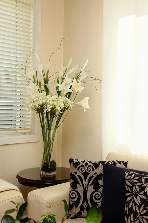 Apartments On The Park - Local Tourism 2