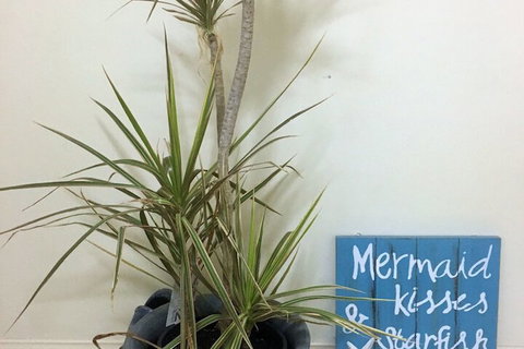 Al Mare Beachfront Retreat - Accommodation Australia 2