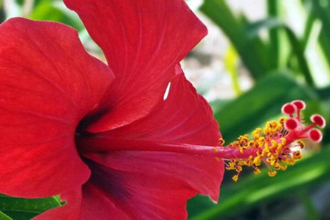 Driftwood Motel & Holiday Units - Local Tourism 6