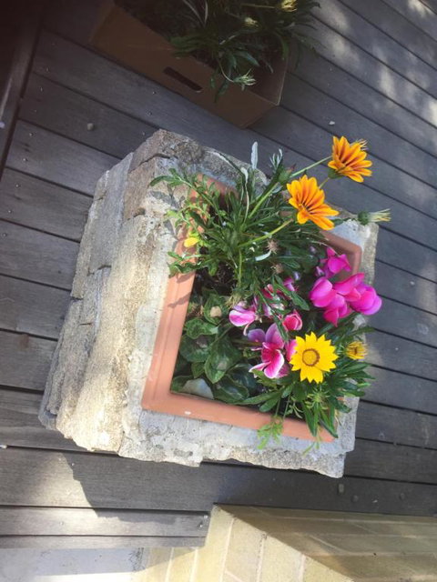 Buffalo Motel & Country Retreat - Accommodation Australia 2