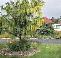 Hamlet Downs Country Accommodation - Local Tourism