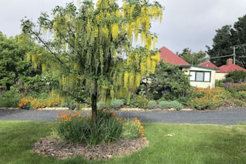 Hamlet Downs Country Accommodation - Local Tourism 0