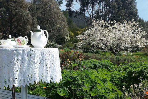 Hamlet Downs Country Accommodation - Local Tourism 3