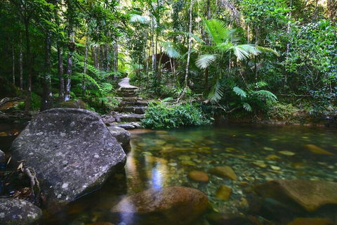 Daintree Cascades - Accommodation Australia 2