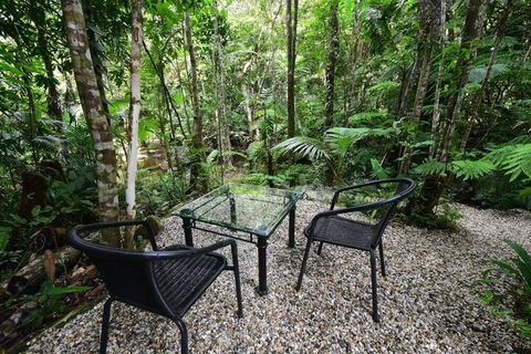 Daintree Cascades - Accommodation Australia 4
