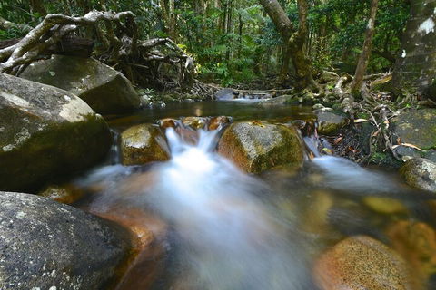 Daintree Cascades - Accommodation Australia 1