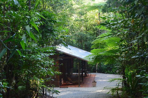 Daintree Cascades - Accommodation Australia 3
