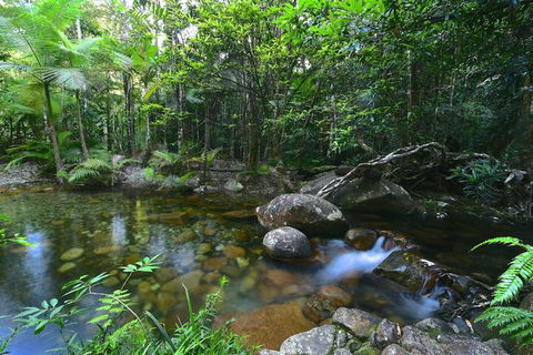 Daintree Cascades - Accommodation Australia 5