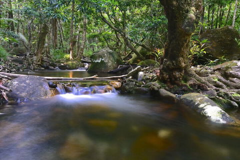 Daintree Cascades - Accommodation Australia 6