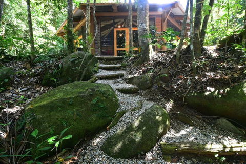 Daintree Cascades - Accommodation Australia 7