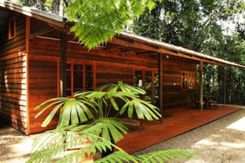Daintree Cascades - Accommodation Australia 0