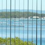 Montgomery Apartments - Accommodation Australia 1