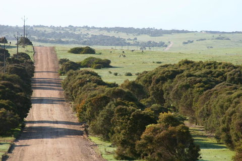 Almonta Park Lodge - Accommodation Australia 4