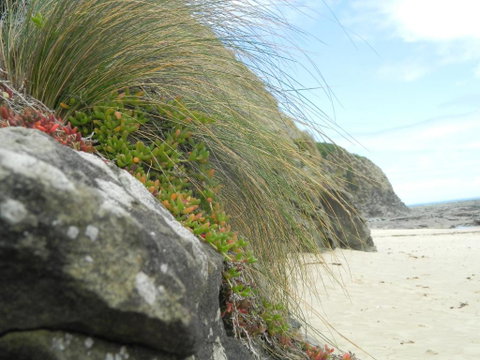Cape 28 - Accommodation Australia 5
