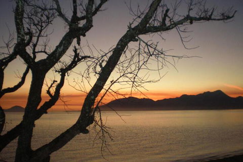 Daintree Village Hideaway - Accommodation Australia 3