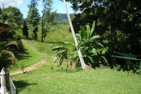 Daintree Village Hideaway - Accommodation Australia 5