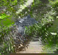 Montagues of Montville - Australia Shopping