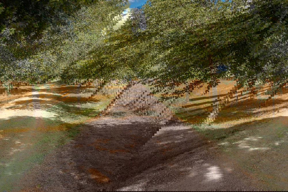 Barrington TAS Local Tourism