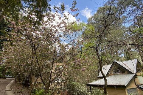 Lochiel Luxury Accommodation - Accommodation Australia 4