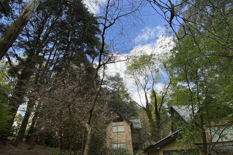 Lochiel Luxury Accommodation - Accommodation Australia 3