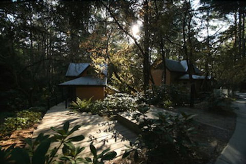 Lochiel Luxury Accommodation - Accommodation Australia 7