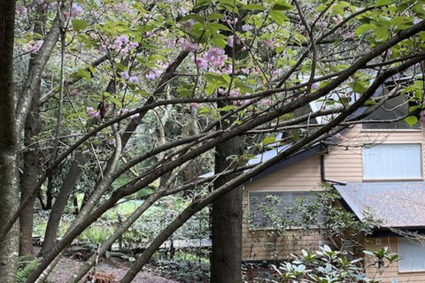 Lochiel Luxury Accommodation - Accommodation Australia 5