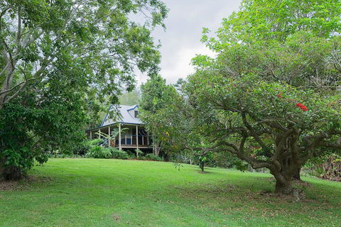 Jacaranda Cottages - Local Tourism 1