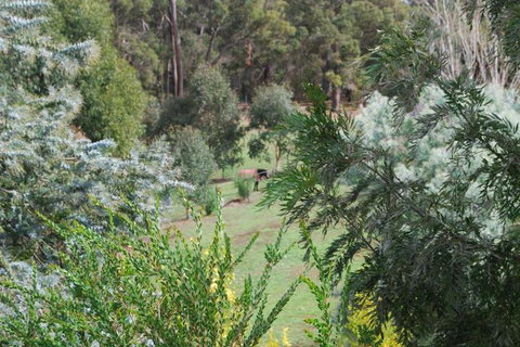 Riverwood Retreat - Bed n Breakfasts 4