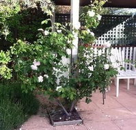 Ellesmere House - Australia Shopping