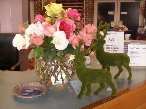 Apollon Motor Inn - Accommodation Australia 2